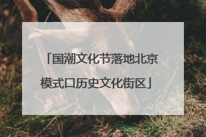 国潮文化节落地北京模式口历史文化街区