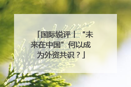 国际锐评丨“未来在中国”何以成为外资共识？