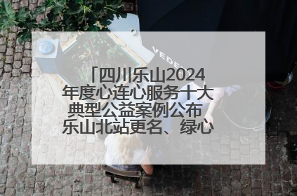 四川乐山2024年度心连心服务十大典型公益案例公布 乐山北站更名、绿心路井盖治理等上榜