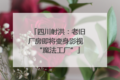 四川射洪：老旧厂房即将变身影视“魔法工厂”