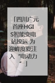 四川广元首座HGIS智能变电站投运 为迎峰度夏注入“电动力”