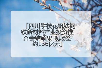 四川攀枝花钒钛钢铁新材料产业投资推介会结硕果 现场签约136亿元