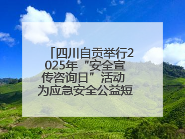 四川自贡举行2025年“安全宣传咨询日”活动 为应急安全公益短视频获奖者颁奖