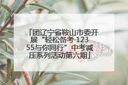 团辽宁省鞍山市委开展“轻松备考·12355与你同行”中考减压系列活动第六期