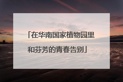 在华南国家植物园里和芬芳的青春告别