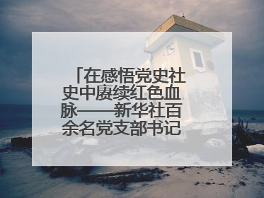 在感悟党史社史中赓续红色血脉——新华社百余名党支部书记参加示范培训