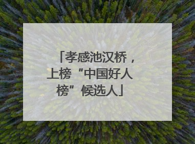 孝感池汉桥，上榜“中国好人榜”候选人