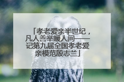 孝老爱亲半世纪，凡人善举暖人间——记第九届全国孝老爱亲模范殷志兰