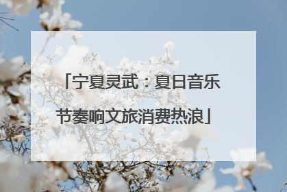 宁夏灵武：夏日音乐节奏响文旅消费热浪