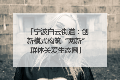 宁波白云街道：创新模式构筑“两新”群体关爱生态圈