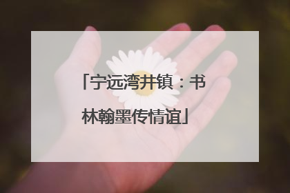 宁远湾井镇：书林翰墨传情谊