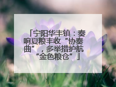 宁阳华丰镇：奏响夏粮丰收“协奏曲”，多举措护航“金色粮仓”