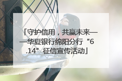 守护信用，共赢未来——华夏银行绵阳分行“6.14”征信宣传活动