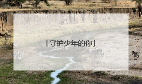守护少年的你