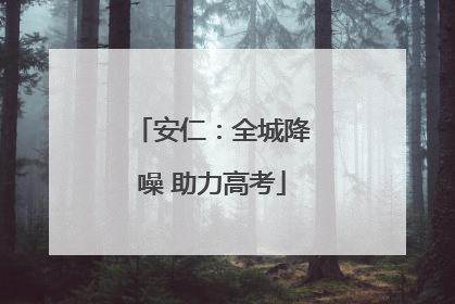 安仁：全城降噪 助力高考