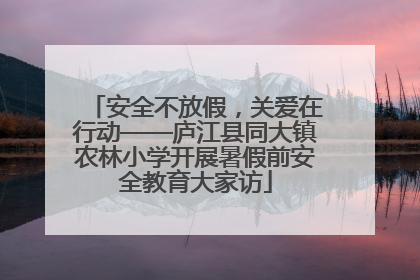 安全不放假，关爱在行动——庐江县同大镇农林小学开展暑假前安全教育大家访