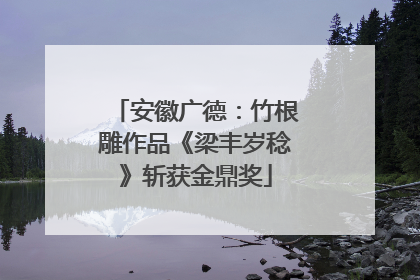 安徽广德：竹根雕作品《梁丰岁稔》斩获金鼎奖
