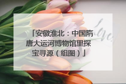 安徽淮北：中国隋唐大运河博物馆里探宝寻源（组图）
