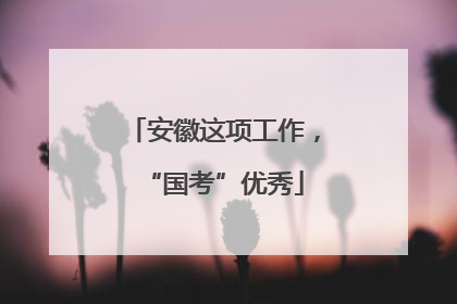 安徽这项工作，“国考”优秀