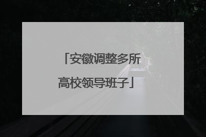 安徽调整多所高校领导班子