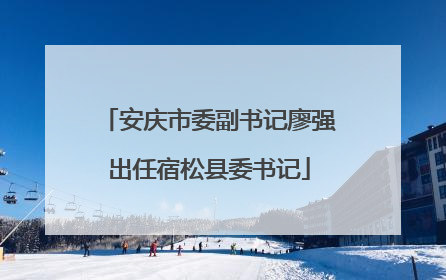 安庆市委副书记廖强出任宿松县委书记
