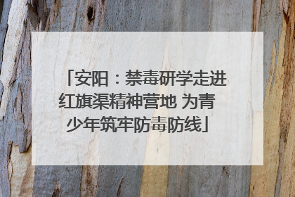 安阳：禁毒研学走进红旗渠精神营地 为青少年筑牢防毒防线