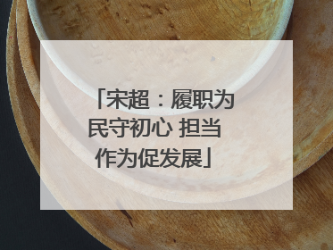 宋超：履职为民守初心 担当作为促发展