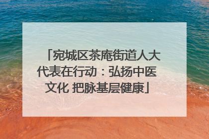 宛城区茶庵街道人大代表在行动：弘扬中医文化 把脉基层健康