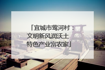 宜城市莺河村：文明新风润沃土 特色产业富农家