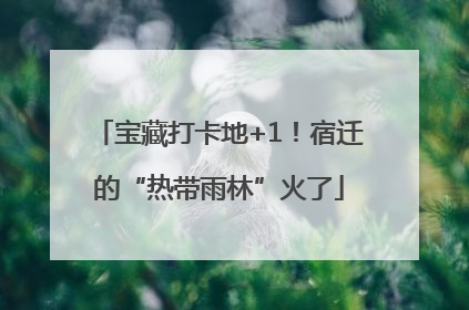 宝藏打卡地+1！宿迁的“热带雨林”火了