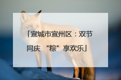 宣城市宣州区：双节同庆 “粽”享欢乐