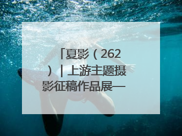 夏影（262）｜上游主题摄影征稿作品展——黄红专作品