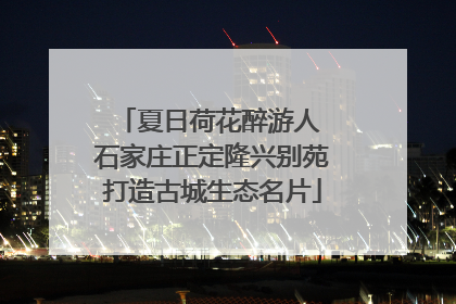 夏日荷花醉游人 石家庄正定隆兴别苑打造古城生态名片