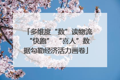多维度“数”读物流“快跑” “喜人”数据勾勒经济活力画卷