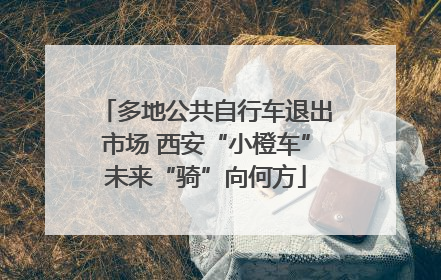 多地公共自行车退出市场 西安“小橙车”未来“骑”向何方