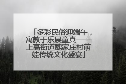 多彩民俗迎端午，寓教于乐展童真——上高街道魏家庄村萌娃传统文化盛宴