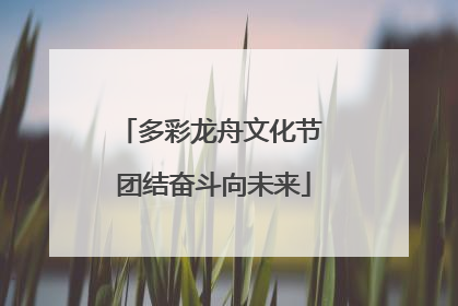 多彩龙舟文化节 团结奋斗向未来