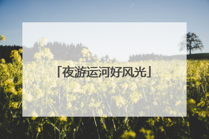 夜游运河好风光