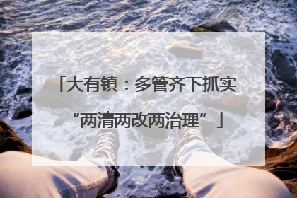 大有镇：多管齐下抓实“两清两改两治理”