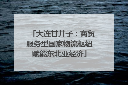大连甘井子：商贸服务型国家物流枢纽赋能东北亚经济