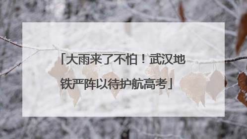 大雨来了不怕！武汉地铁严阵以待护航高考