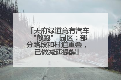 天府绿道竟有汽车“敞跑” 园区：部分路段和村道重叠，已做减速提醒