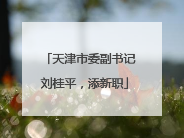 天津市委副书记刘桂平，添新职