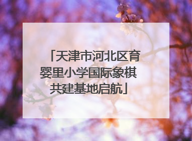 天津市河北区育婴里小学国际象棋共建基地启航