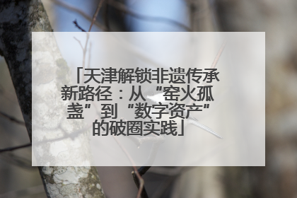 天津解锁非遗传承新路径：从“窑火孤盏”到“数字资产”的破圈实践