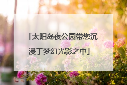 太阳岛夜公园带您沉浸于梦幻光影之中