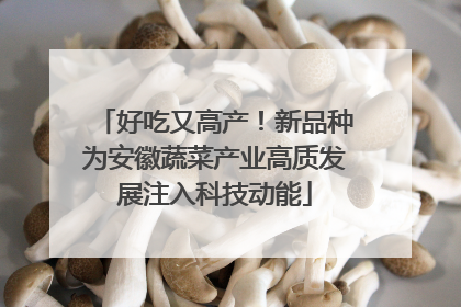 好吃又高产！新品种为安徽蔬菜产业高质发展注入科技动能