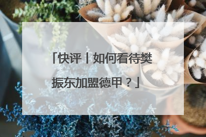 快评丨如何看待樊振东加盟德甲？