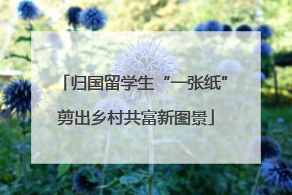 归国留学生“一张纸”剪出乡村共富新图景