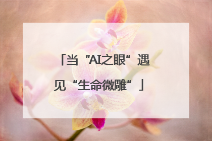 当“AI之眼”遇见“生命微雕”